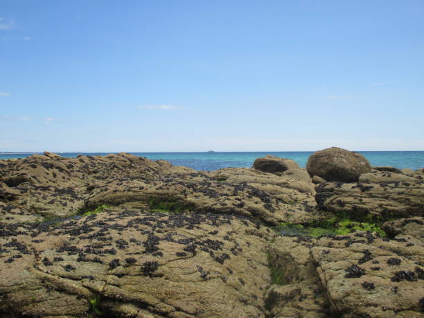 costa rocciosa costiera cozze appese alla roccia - beauty in nature cloud rocky coastline rock foto e immagini stock