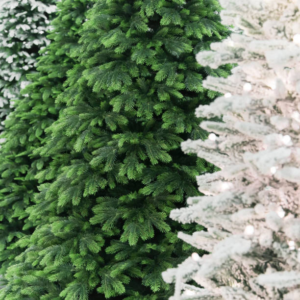 istock New Year and Christmas decor. Festive background with a texture with different to choose from decorative artificial snow-covered branches of Christmas trees in white and green 1162103427