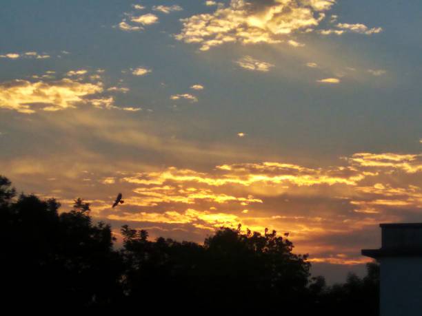 istock Sunrise in the city 1162104821
