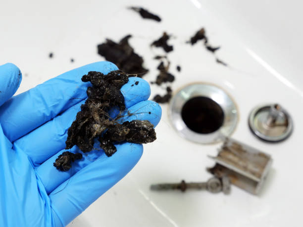 Plumber holding mass of hair and grime from clogged sink. Plumber holding mass of hair and grime from clogged sink. clogged stock pictures, royalty-free photos & images