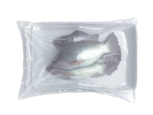 istock set of vacuum packed fish 3d render on white no shadow 1162106991