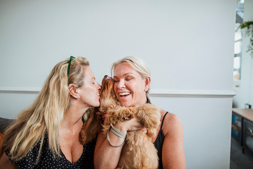 Two women holding a cocker spaniel dog. One of the women is kissing him while the other laughs with her eyes closed.