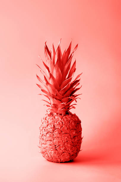 istock Coral pineapple on a minimalist background, summer exotic concept 1162111739