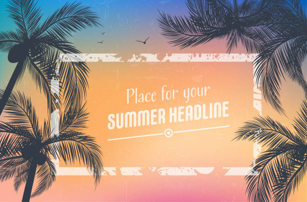 ilustraciones, imágenes clip art, dibujos animados e iconos de stock de fondo para tu diseño de verano con palmeras - celebration silhouette back lit sunrise