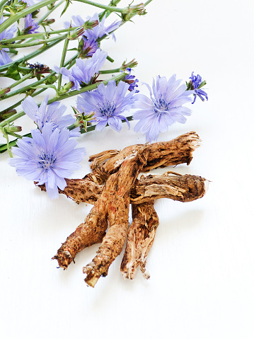 Chicory on white wooden background. Shallow dof.