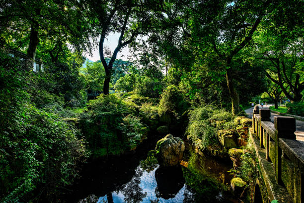istock Bridge over the Pond at a Classical Chinese Garden 1162117391