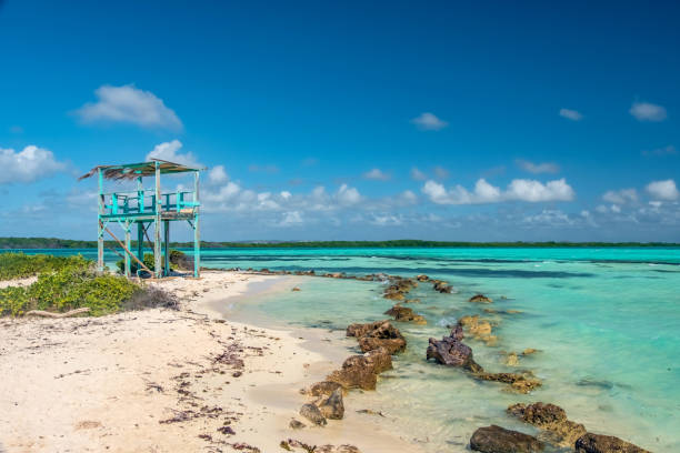 istock Decaying Lifeguard Station - Lac Bay, Bonaire 1162117722