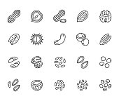Nuts flat line icons set. Peanut, almond, chestnut, macadamia, cashew, pistachio, pine seeds vector illustrations. Outline signs for healthy food store. Pixel perfect 64x64. Editable Strokes