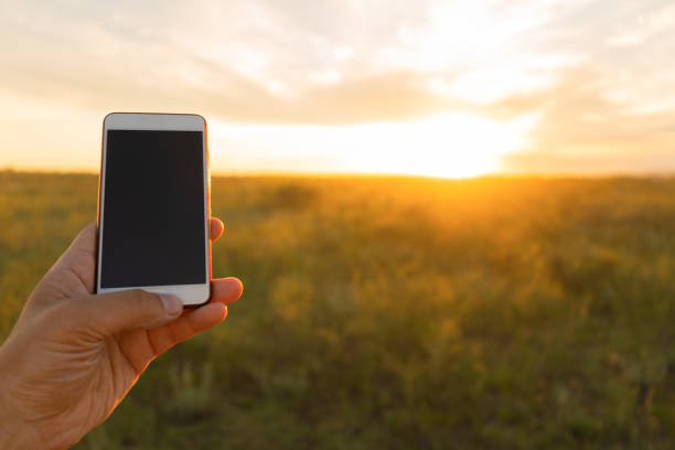 istock Phone in hand on sunset background 1162119534