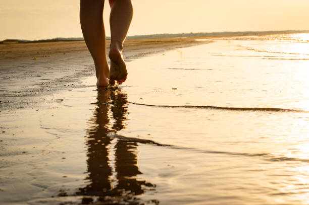 istock Young woman barefoot on the beach 1162121164
