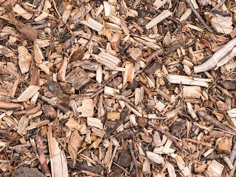 Shredded bark and pieces of wood.