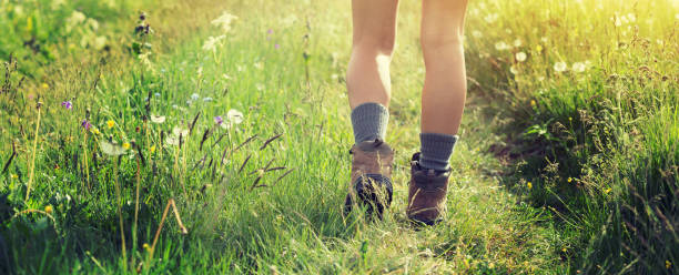 istock Young woman hiker walking on trail in grassland 1162122575