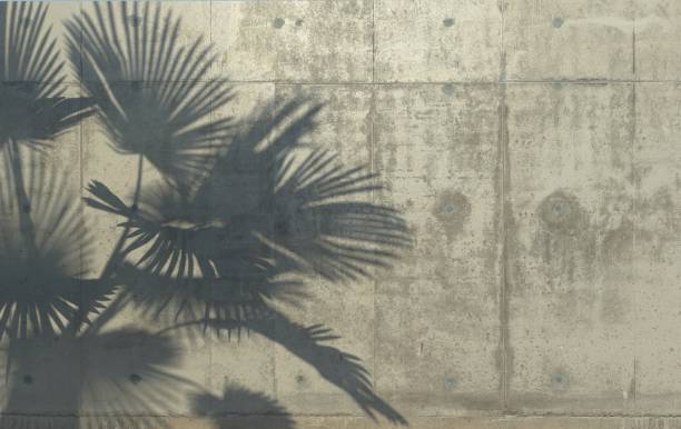 Palm leaves cast a shadow on the concrete wall. Conceptual creative illustration with copy space. Concrete jungle.