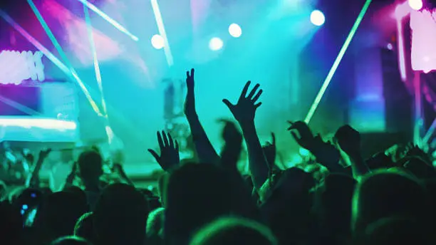 Photo of Cheering crowd at a concert.