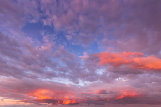 istock Overcast twilight sky with purple clouds. Abstract background for design. 1162125443