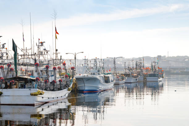 puerto pesquero - prefectura de aomori fotografías e imágenes de stock