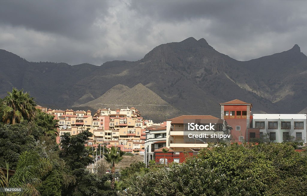 Las Americas (Tenerife - Foto stock royalty-free di Albero