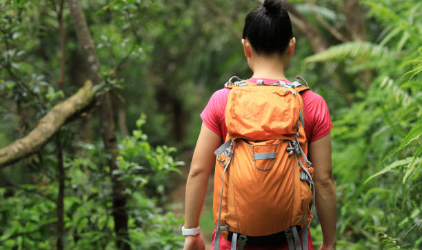 istock Young woman backpacker hiking at summer forest mountain 1162138835