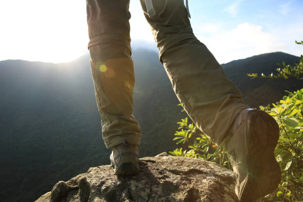 istock Successful hiker hiking at sunrise summer mountain top cliff edge 1162139655