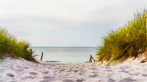 istock idyllic baltic sea seascape background 1162142508