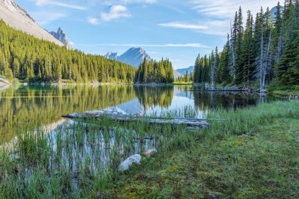 istock Elbow Lake in Elbow Pass at Peter Lougheed Provincial Park 1162143898