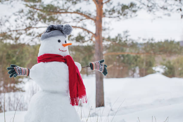 istock snowman in red scarf in forest 1162144621