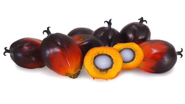 istock Palm oil fruit isolated on white background 1162145324