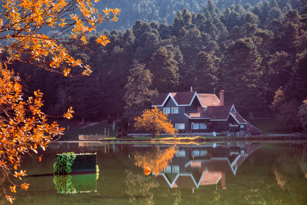 weitwinkelansicht des yedigoller nationalparks unter klarem himmel in bolu city, türkei - woods reflection famous place standing water stock-fotos und bilder