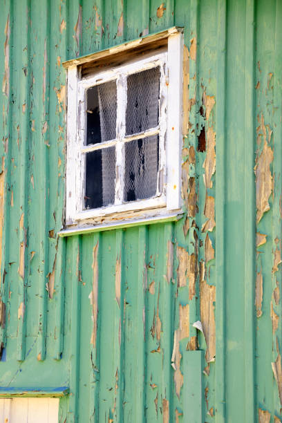 istock Green flaked paint on old facade 1162147963