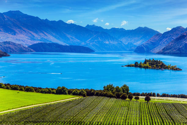 istock Adorable little island 1162148641