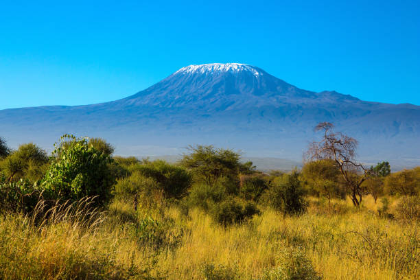 istock Africa. Amboseli Park 1162148648
