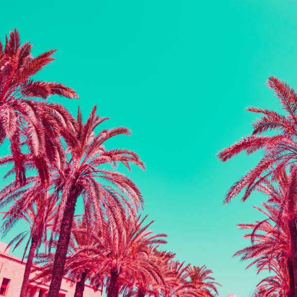 istock Red palm trees and green sky. Minimal 1162152510