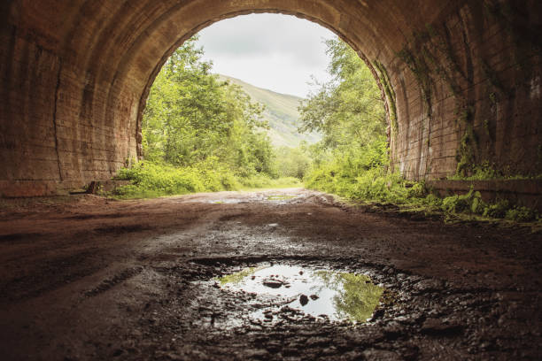 A tunnel ending in a beautiful green landscape and its reflection in a puddle