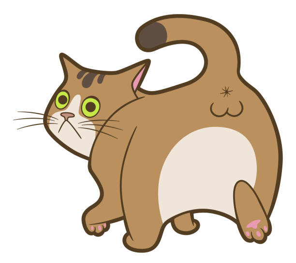 Cartoon cat turn back Cartoon cute surprised cat turn back isolated on white background testis stock illustrations