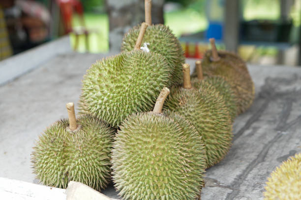 istock Durians fruit on street market. 1162154757