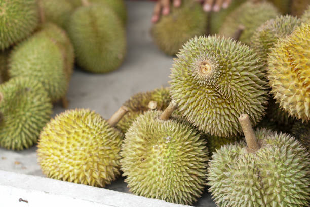 istock Durians fruit on street market. 1162154759