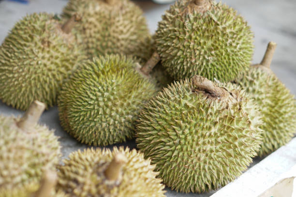 istock Durians fruit on street market. 1162154804
