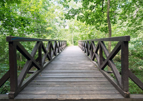 istock wooden bridge in the park 1162157110