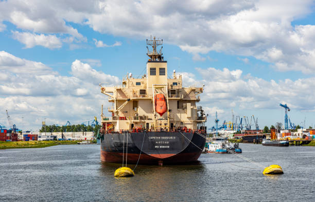 harbor of rotterdam, netherlands. logistics business, cargo loading unloading - harbor editorial industrial ship container ship imagens e fotografias de stock