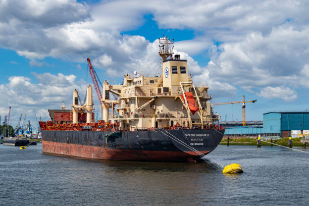 harbor of rotterdam, netherlands. logistics business, cargo loading unloading - harbor editorial industrial ship container ship imagens e fotografias de stock