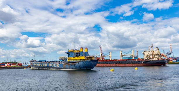 harbor of rotterdam, netherlands. logistics business, cargo loading unloading - harbor editorial industrial ship container ship imagens e fotografias de stock