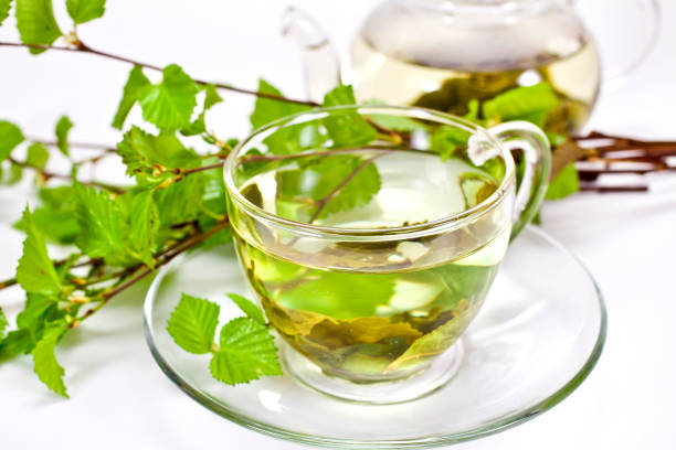 zielona herbata z dzbankiem na herbatę i zielonymi naturalnymi gałęziami brzozy - herbata odchodzi zdjęcia i obrazy z banku zdjęć