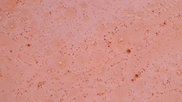 istock Abstract background in pink and red 1162160723