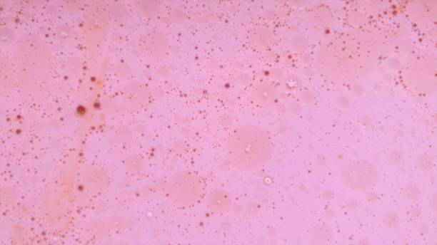 istock Abstract background in pink and red 1162160811