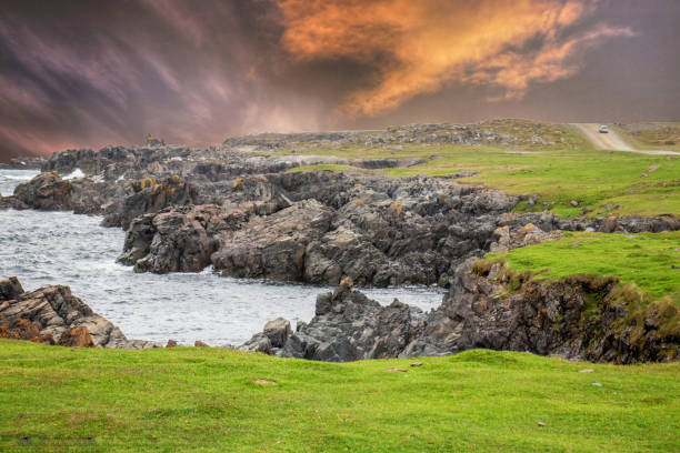 istock Remote meadows on the ocean seen at sunrise, Newfoundland, Canada 1162160909