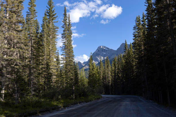 istock Road to the Mountains 1162161605