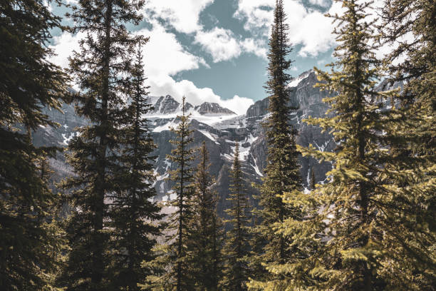 istock Valley of the Ten Peaks 1162161692
