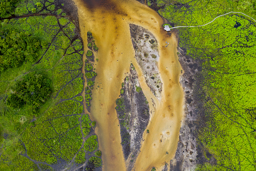 Vista aérea de un bai (salina, claro mineral) en la selva tropical, Congo photo