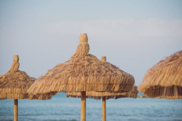 istock Palm umbrellas in the sunset on a sandy beach 1162162275