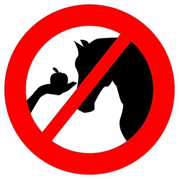 Ban- Do not feed horses. Prohibit sign. Save animals health. Ban- Do not feed horses. Prohibit sign. Save animals health. over fed stock illustrations